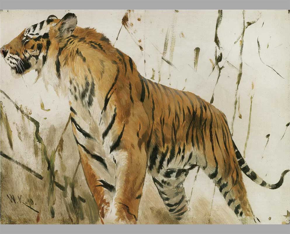 19 Этюд тигра