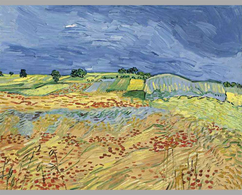 11 Пшеничное поле с штормовым небом