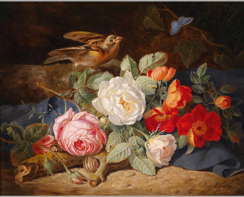 66 Йозеф Лауэр Ннатюрморт цветы с малиновкой и голубой бабочкой